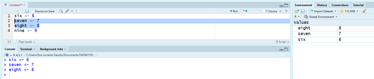 Figure 3. Two lines selected in the Script Editor and run together in the Console.